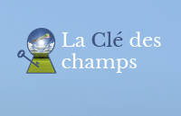 Logo de la structure LA CLEF DES CHAMPS