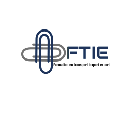 Logo de la structure FTIE