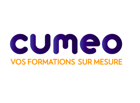 Logo de la structure AVIGNOUN CONSEIL (CUMEO)