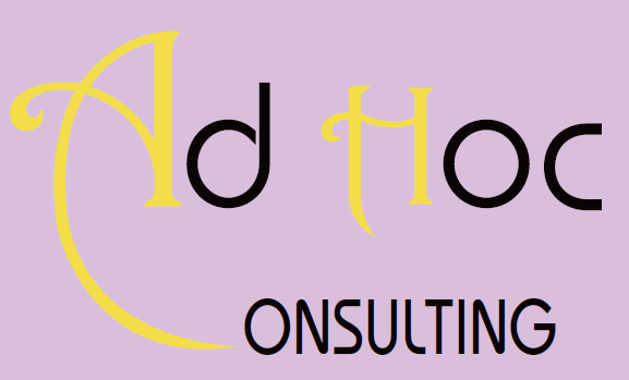 Logo de la structure Flavia REMO