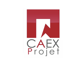 Logo de la structure KATIA SALZMANN (CAEX PROJET)
