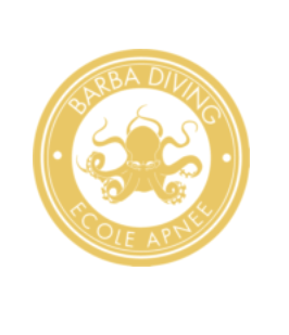 Logo de la structure BARBA LEARNING