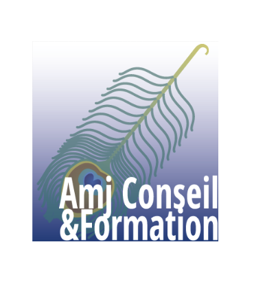 Logo de la structure Anne JOURDAIN (AMJ CONSEIL)