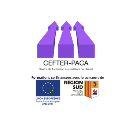 Logo de la structure Centre Ecole de formation techniques Equestres Région PACA (CEFTER-PACA)