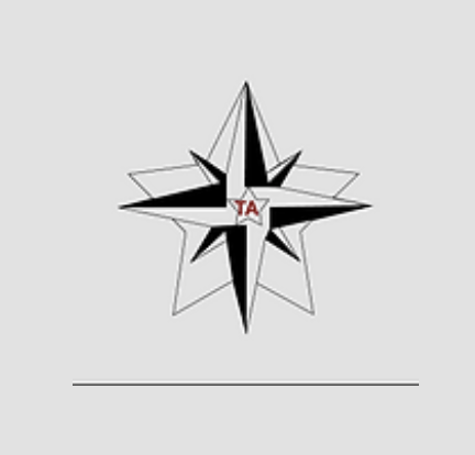 Logo de la structure THEATRE ACTION