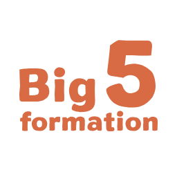 Logo de la structure BIG 5 FORMATION