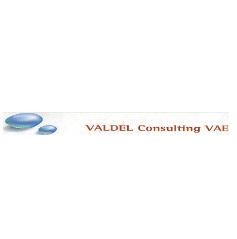 Logo de la structure VALDEL CONSULTING