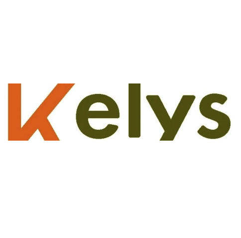Logo de la structure LAURENT GUILLET (KELYS)