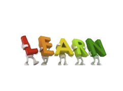 Logo de la structure LEARNEN SCHOOL