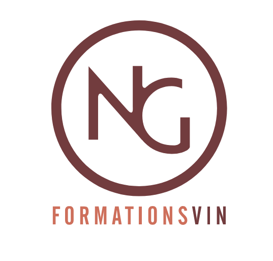 Logo de la structure NG VIN