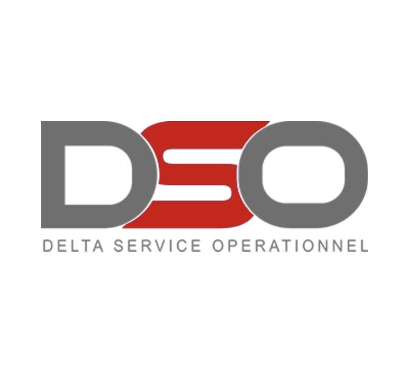 Logo de la structure DELTA SERVICE OPERATIONNEL (DSO)