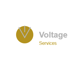 Logo de la structure Morgan BAUX (VOLTAGE SERVICES)